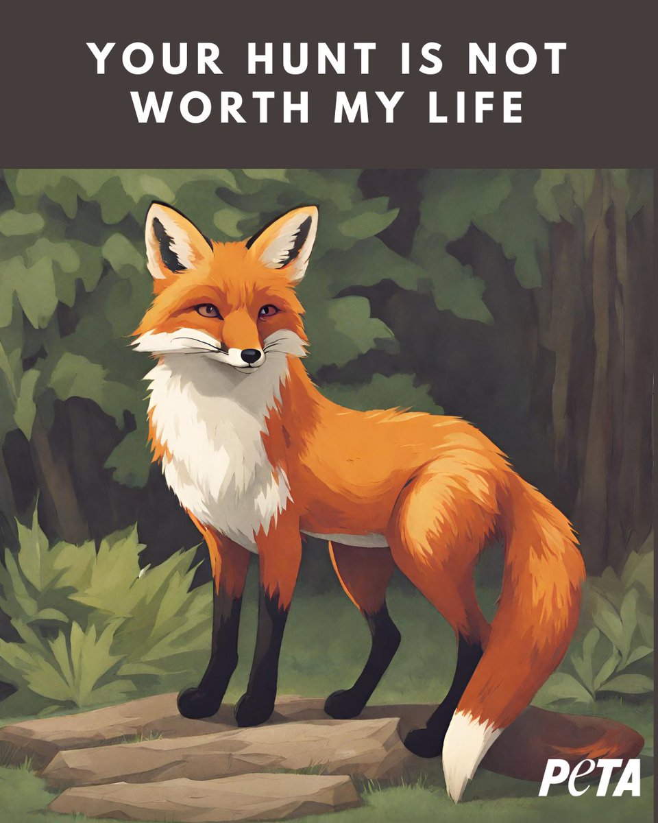 PETAUK's tweet image. Hunting is a blood sport &amp;amp; has no place in the UK.

Share if you agree. #BoxingDay