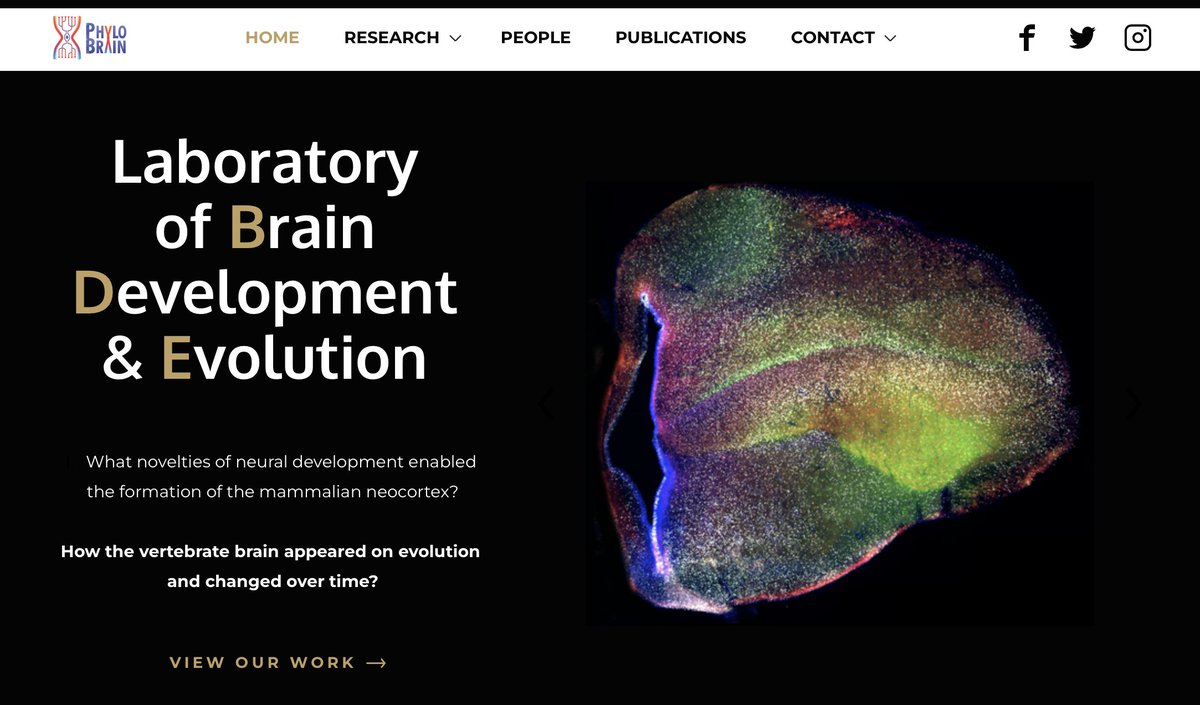 😩our website phylobrain.com is going to disappear soon because we are not allowed to finance it with our project funds. How do you pay for the websites of your research groups? Any ideas on how to do it for free or with low costs? Please help us 🙏!!