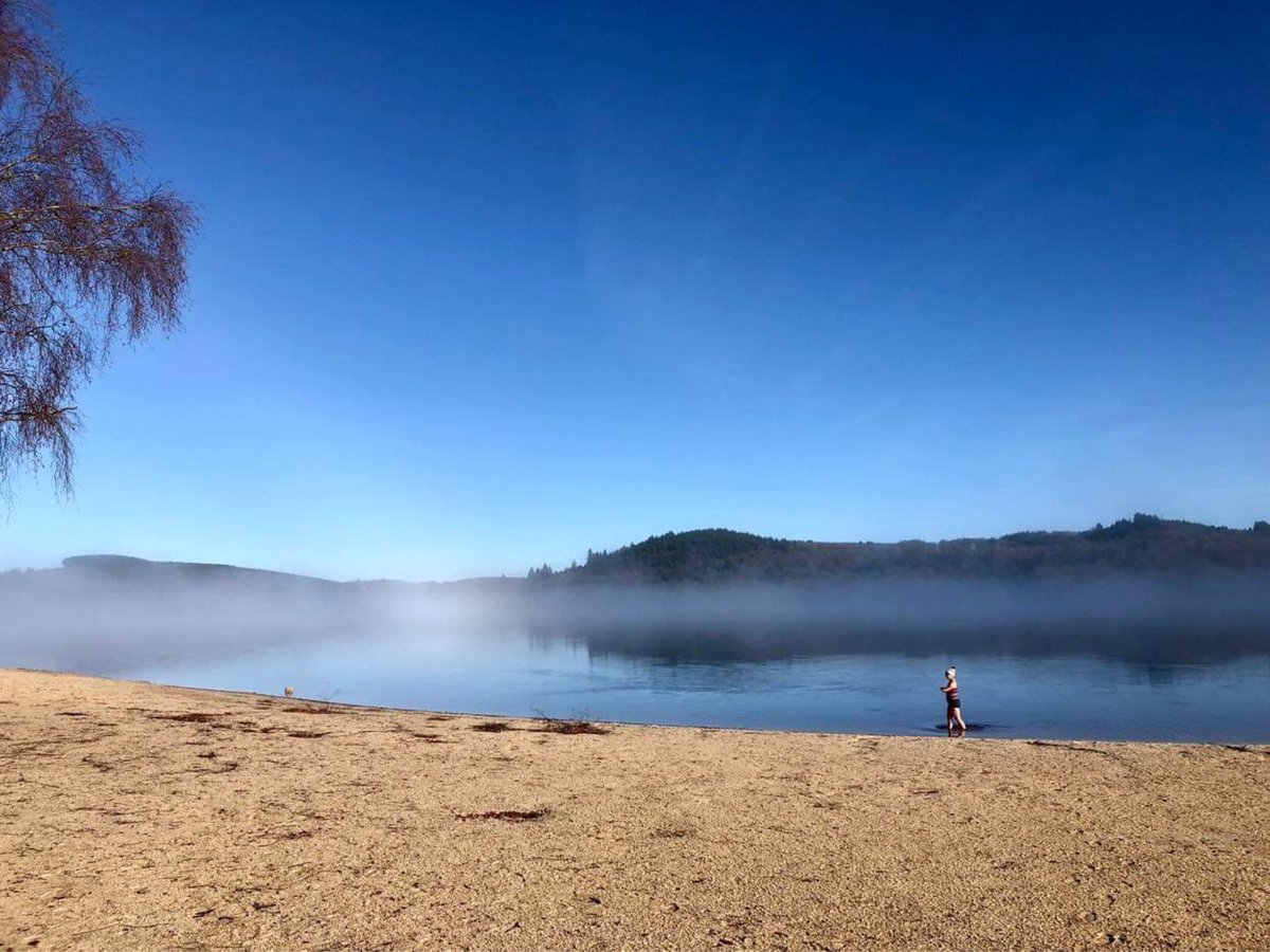 Marie Connell tweet media