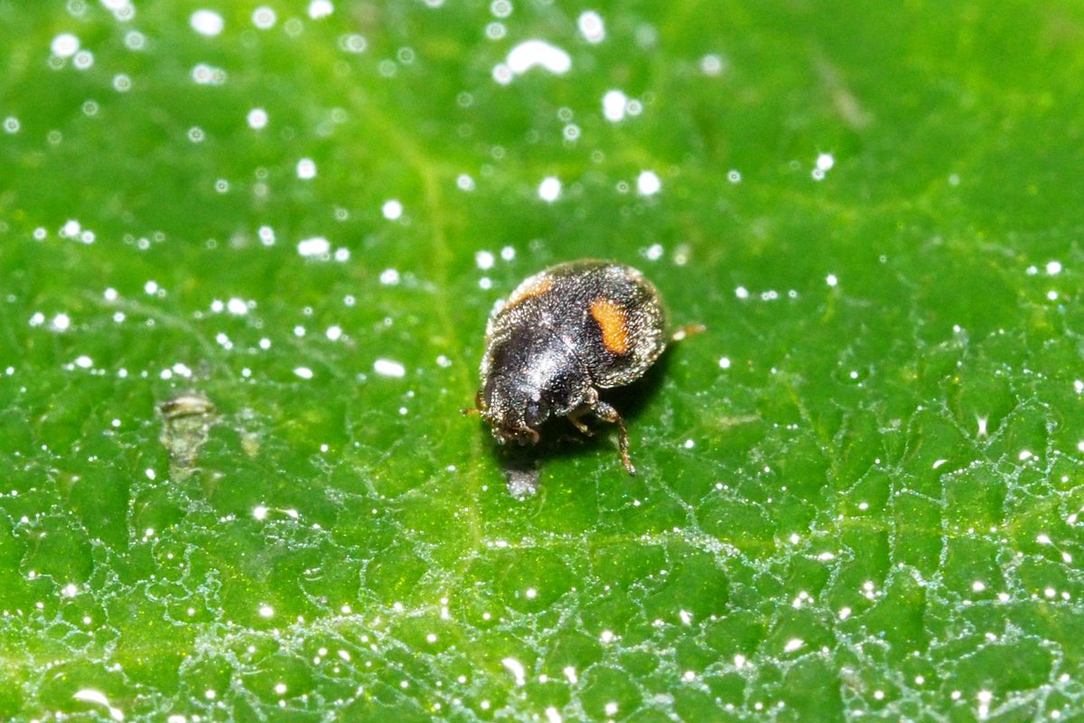 Ciarán Byrne tweet media