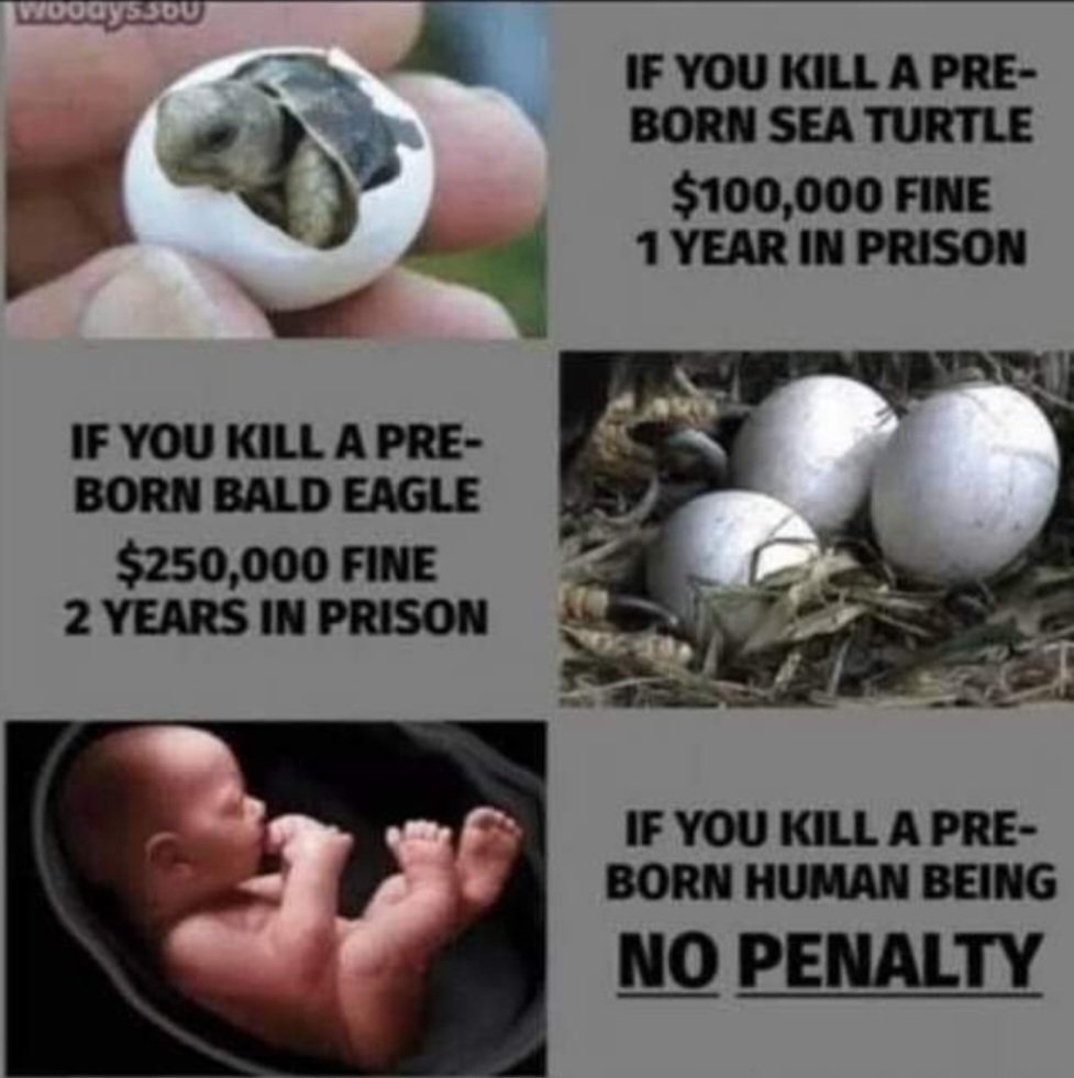 Sad but true! Protect the sanctity of life! #ProtectTheUnborn #RightToLife
