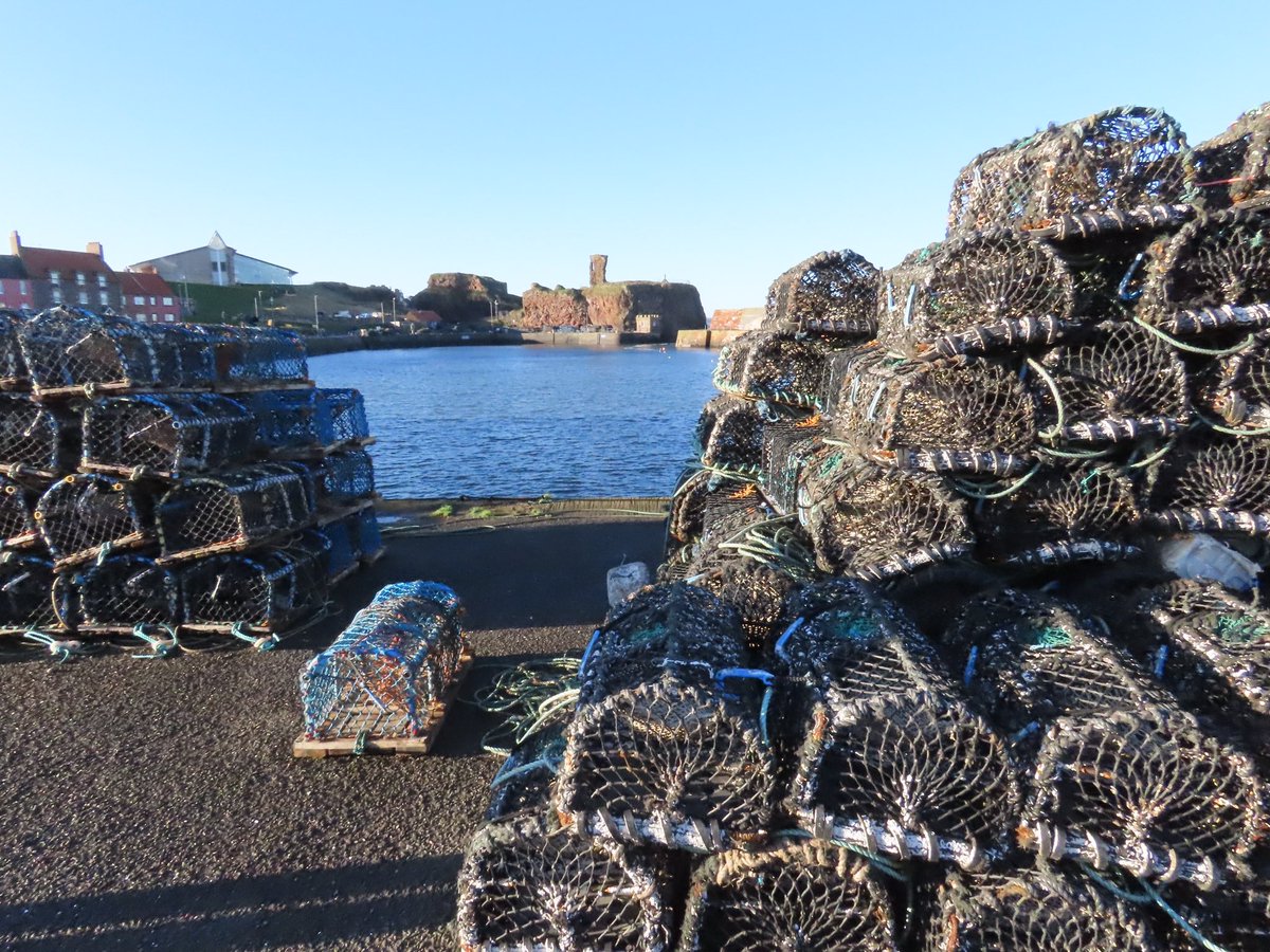 Susan Davies (@smdavies67) on Twitter photo A #boxingday amble in the sunshine with my Ma & Sister along #Dunbar prom & <a href="/dunbarharbour/">Dunbar Harbour</a> #EastLothian
#coastalliving #seascape #seaside A #boxingday amble in the sunshine with my Ma & Sister along #Dunbar prom & <a href="/dunbarharbour/">Dunbar Harbour</a> #EastLothian
#coastalliving #seascape #seaside