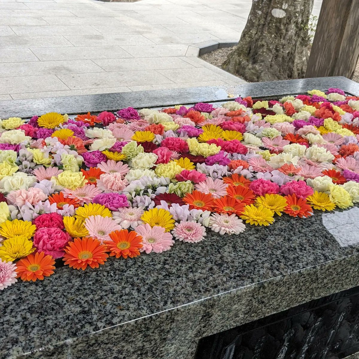 混雑回避のため早めに金蛇水神社へ。
かわいい白蛇チャンを千切る罪悪感を抱きつつカレー美味しくいただいた。 