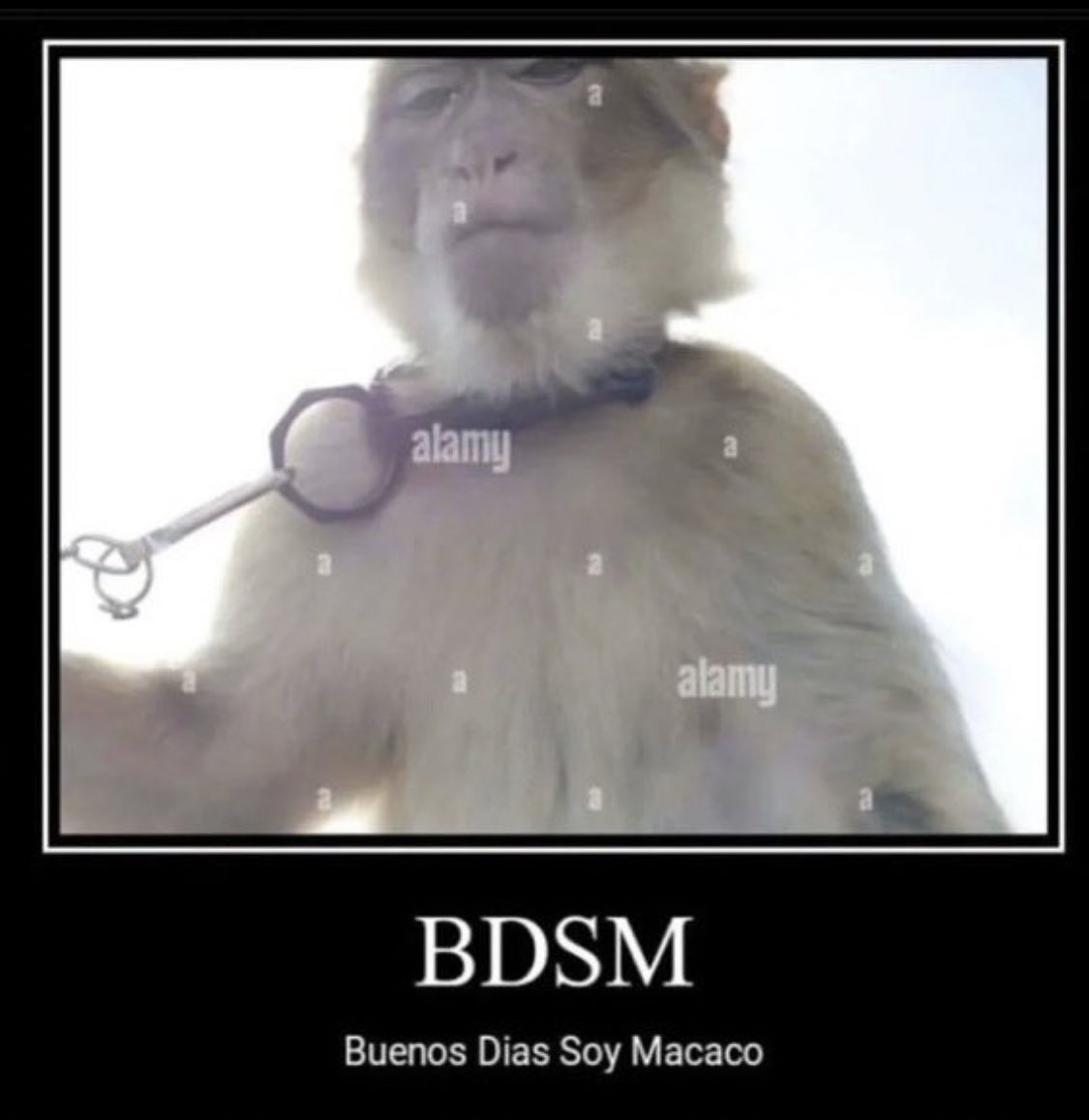 aleksprxz's tweet photo. BDSM a todos https://t.co/Wpscdo0GDF