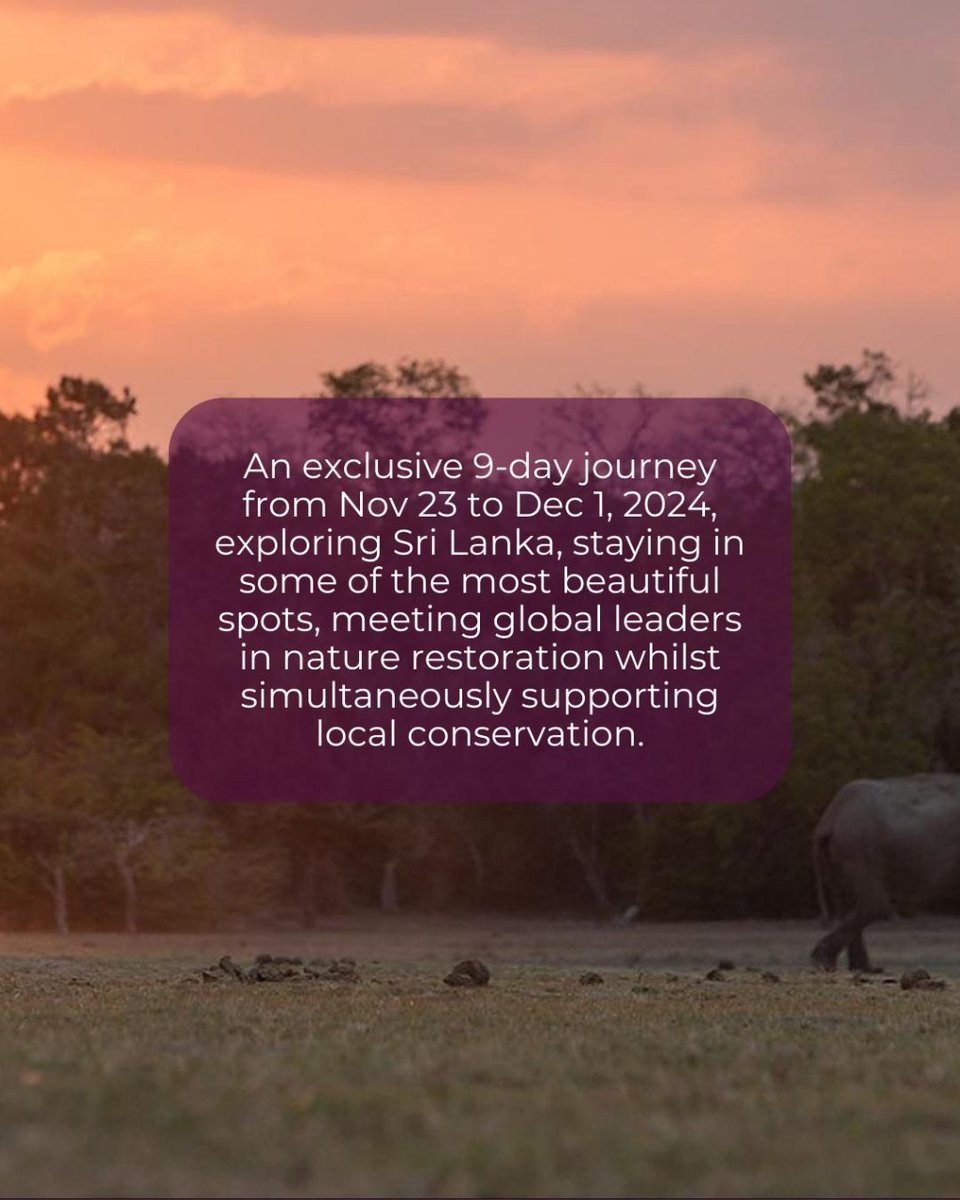 🇱🇰 This once-in-a-lifetime experience grants 'behind the scenes' access to 3 diverse conservation projects.

25% of the trip cost is a donation to support grassroots conservation 🩵

Learn more 👉 mtr.cool/wictborjom
Contact <a href="/JWP_Tweet/">Journeys With Purpose</a> for more info