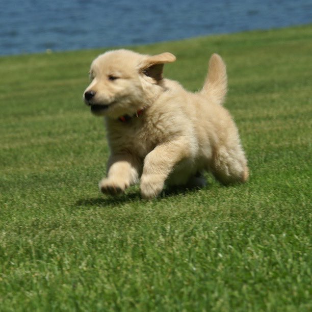 แห่ะๆ หวัดดีคับ มีใครสนใจฝากหิ้วเครื่องรางมั้ยครับ