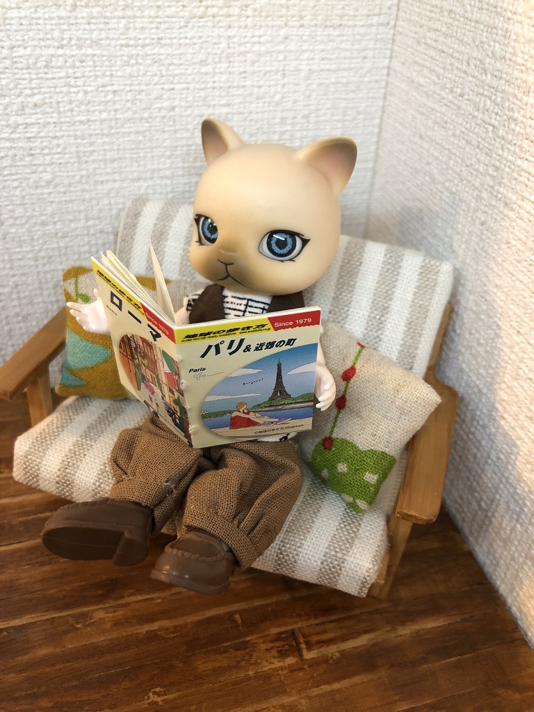 セリアで「地球の歩き方 スクエアシール」を発見したので、雑誌の形にしてセリアドールに持たせてみた。
ついでに山田化学ソファを布張りに。
これでドールを座らせたときに滑っていかなくなった。

「次の長期休みはどこに行こうかな」

#セリアドール
#ドル活