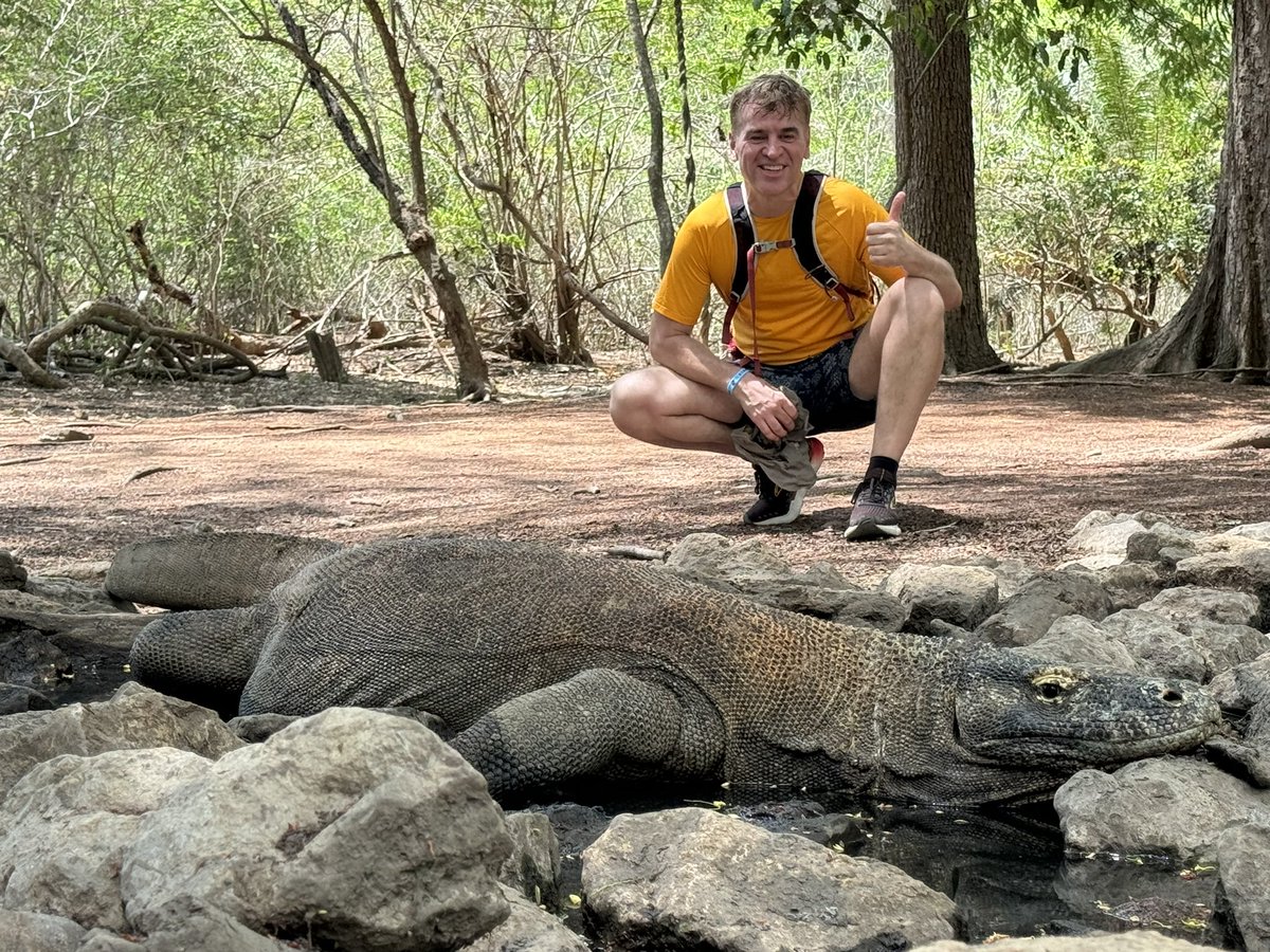 They can become almost twice as big and when they bite, you have only days to live.. 
#komodo #komodoisland #Indonesia 🇮🇩