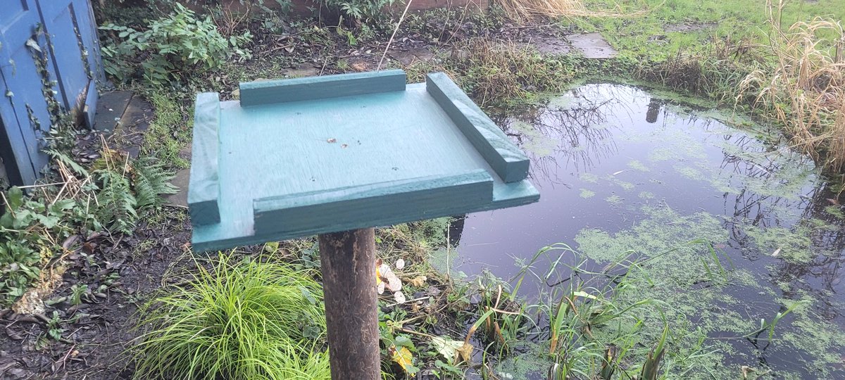 Pocolow's tweet image. A quick #BoxingDay job..Fitting a new #birdtable top to replace the rotten one..All knocked together out of some scrap timber and some leftover @CuprinolUK paint