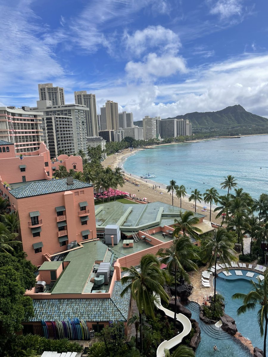 大本 祐槻 tweet media