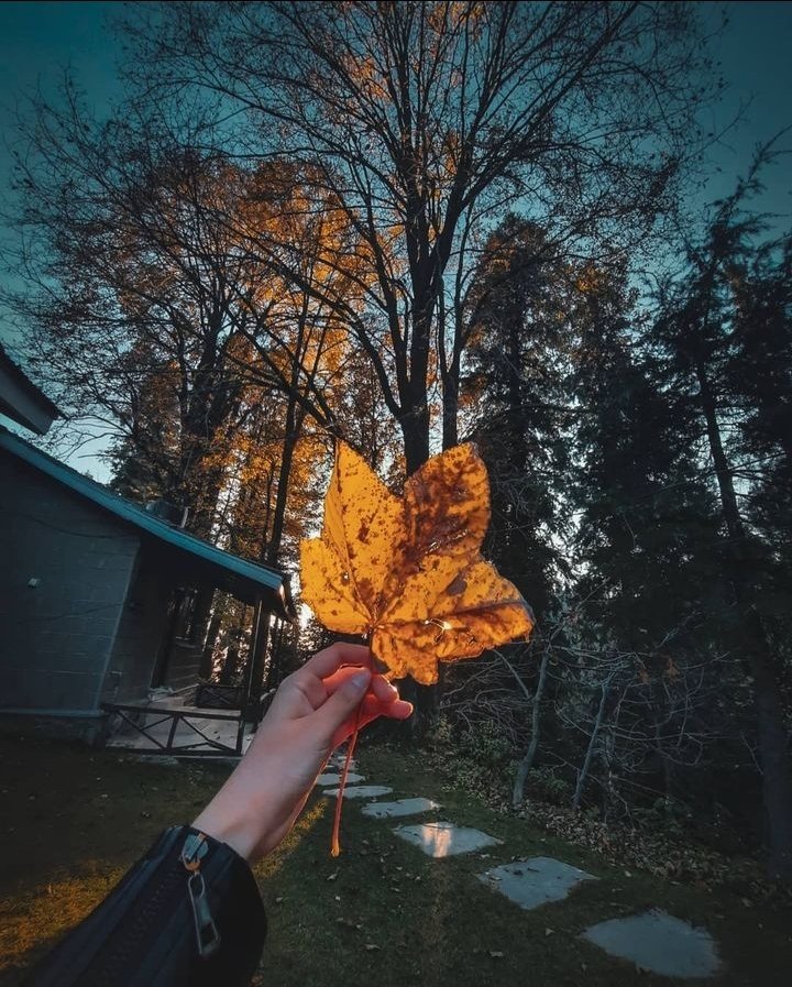 bloomsky67's tweet photo. In winter, afternoons feel like a gentle hug from the season, with sunlight peeking through frosty air. ☀️❄️
#WinterHug
#CozyVibes https://t.co/nHfS3wyfL0