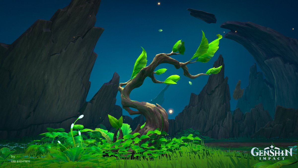 cjpuzzy's tweet photo. The Forest Will Remember https://t.co/kFIMCN5ptZ