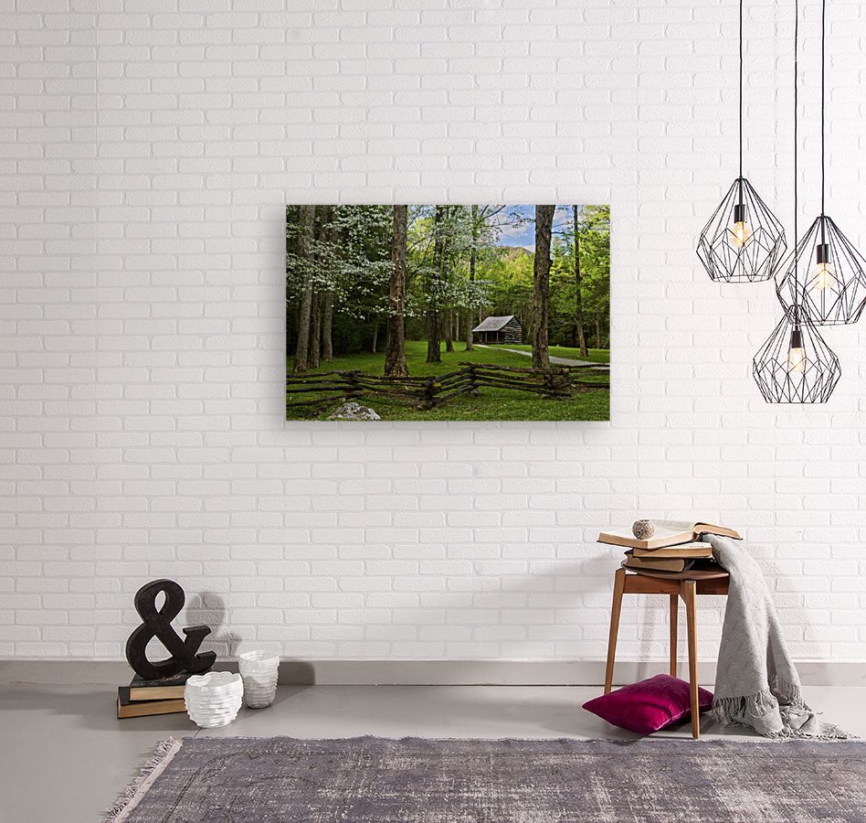 ImagesByJonEvan's tweet photo. Photography from Smokey Mountain National Park is a great way to decorate your walls and add interesting and unique textures to your space #photography #homedecor #decorate #inreriordesign #artlover #vacation #naturelover #travel #tennessee #smokyMountains https://t.co/mF1KC1VAQx https://t.co/rIKjx3YAPg
