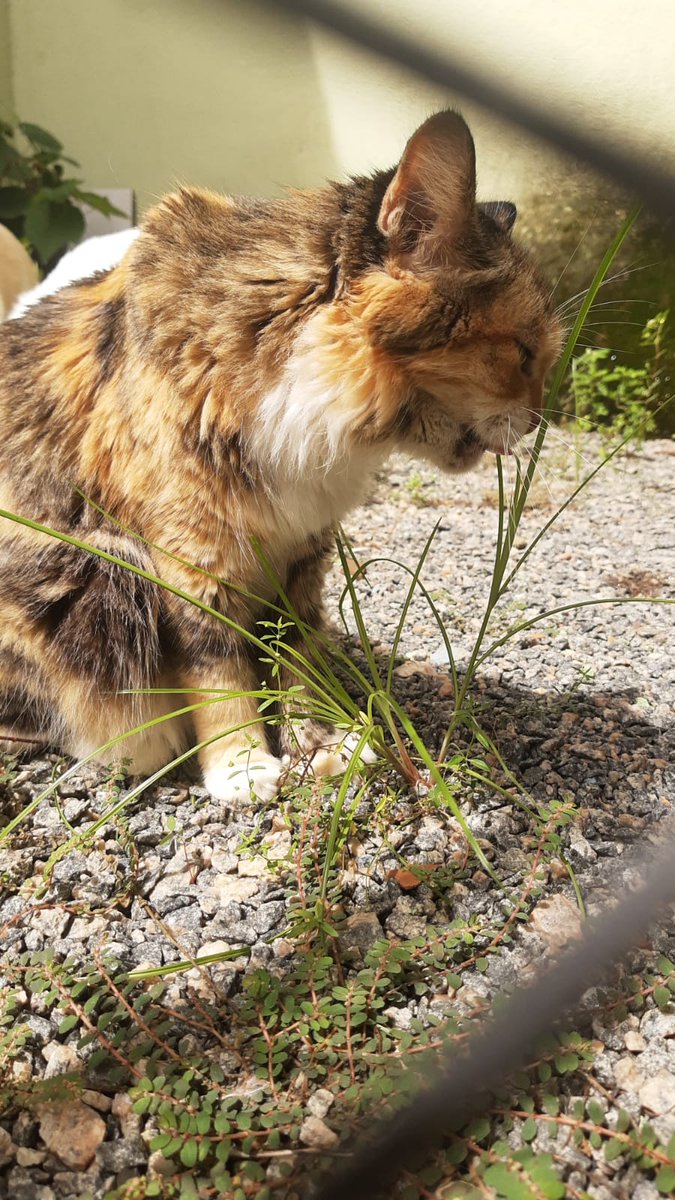 Guh 🍉 tweet media