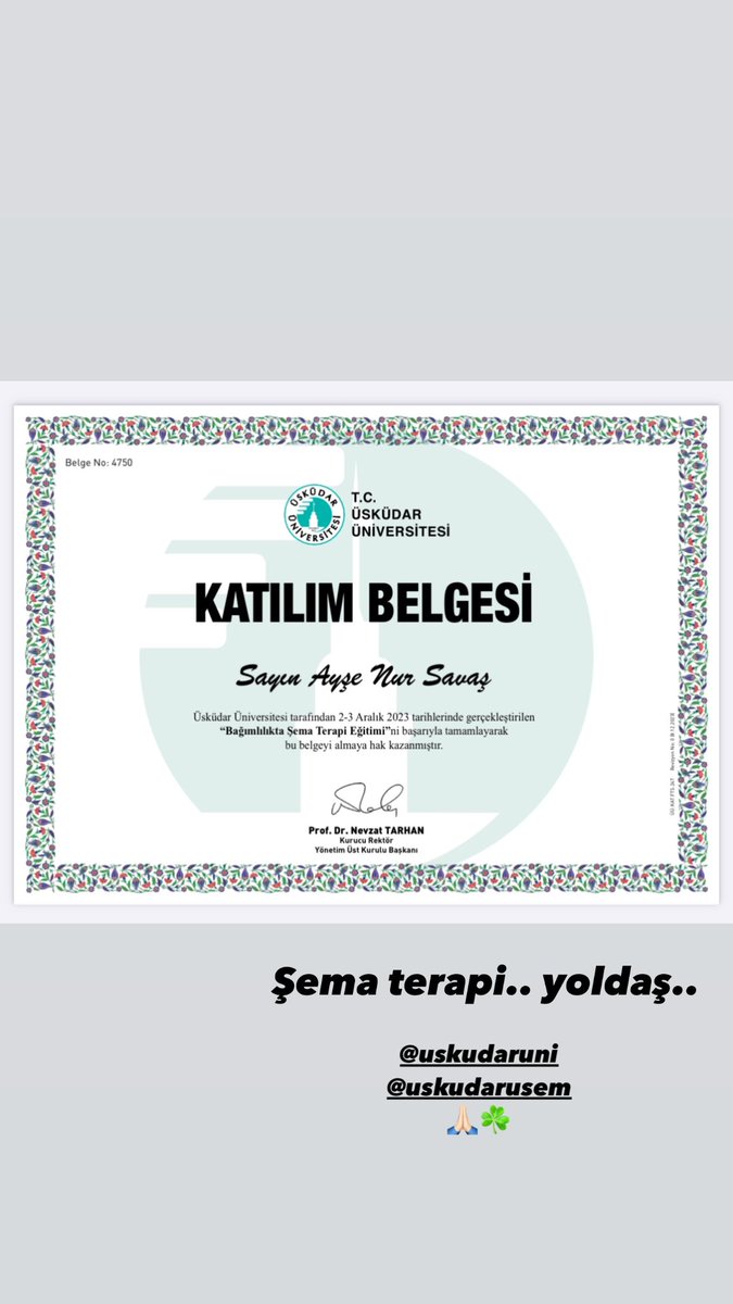 pskaysenursavas's tweet image. #şematerapi #bağımlılık