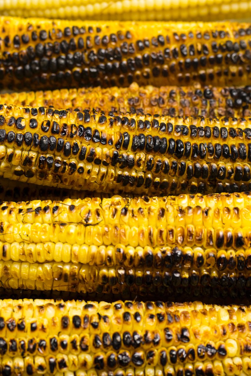 What are some of your favorite ways to eat holiday leftovers? We don’t mind loading up any leftover veggies right on the grill — definitely one of the joys of living in the beautiful Florida climate during the holiday season. 🌽 🎄