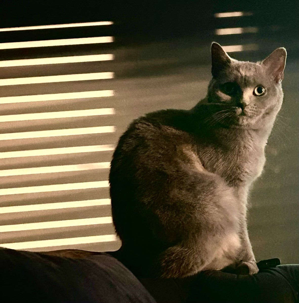 Kizimdan cektigim en iyi foto olabilir