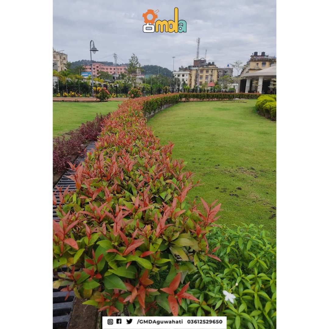 GMDAGuwahati's tweet photo. Atal Udyan: A Verdant Haven in Adabari, Where Nature's Symphony Resonates. Discover Tranquility, Playful Gazebos, and Serene Strolls.
Source: Google Reviews
@himantabiswa
@TheAshokSinghal
#parksforall #parksofguwahati #AtalUdyanEvenings #Sunset https://t.co/GhXcmvCekq