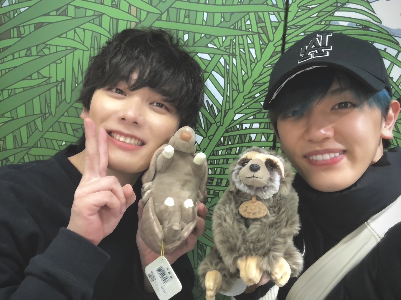 宮川大聖 / みやかわくん on X: 