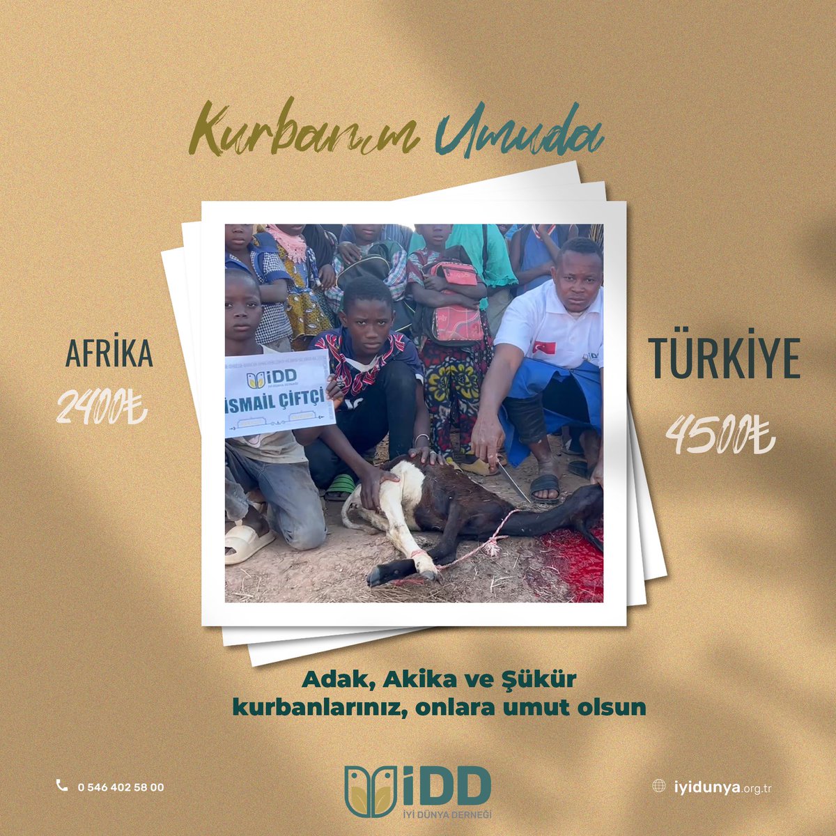 Adak akîka ve şükür kurbanlarınız yurtiçinde ve yurtdışında video eşliğinde kesilmekte ve ihtiyaç sahibi kardeşlerimize dağıtılmaktadır.

#kurban
#afrika
#adak_akika
#İDD