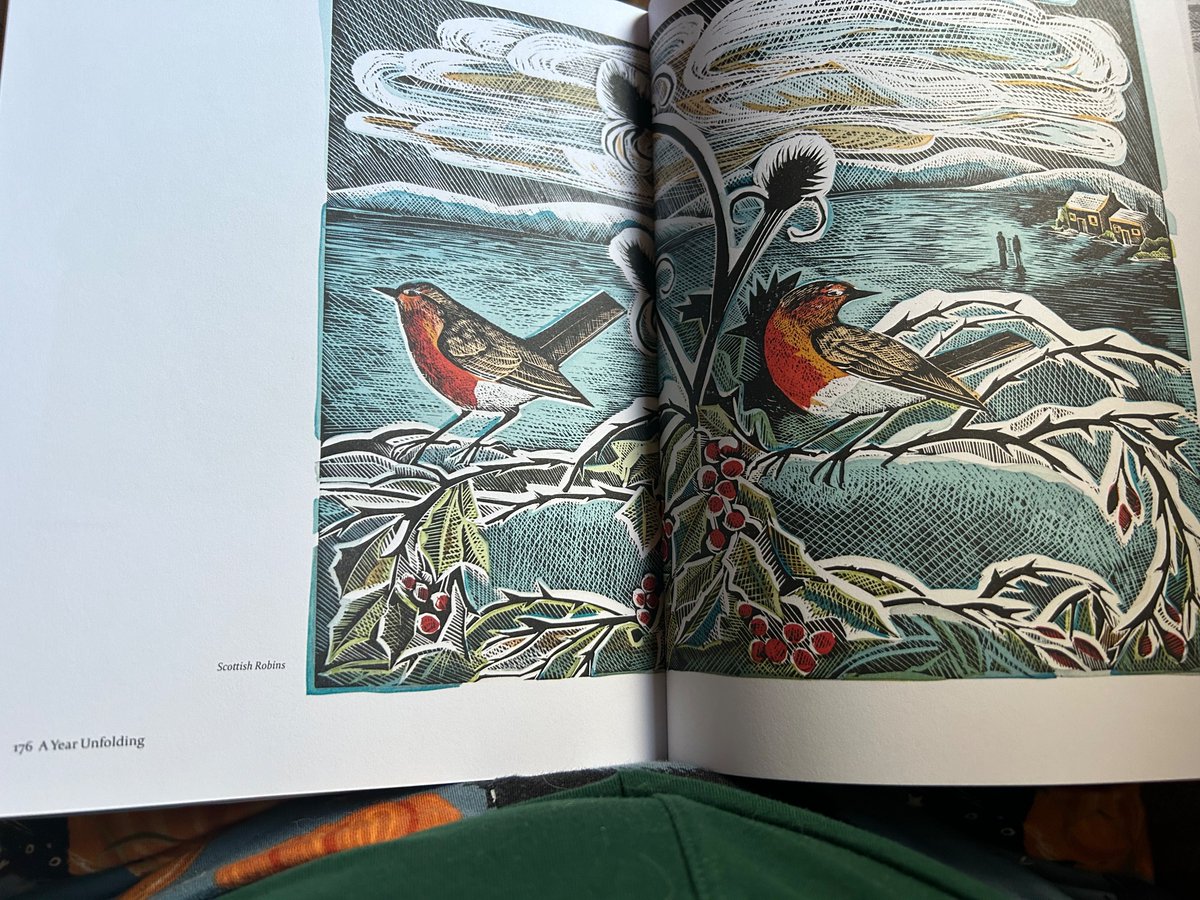 Enjoying Boxing Day with new books - this is from Angela Harding’s beautiful, ‘The Year Unfolding: A Printmaker’s View’. Her work is gorgeous. I wish I could draw.
