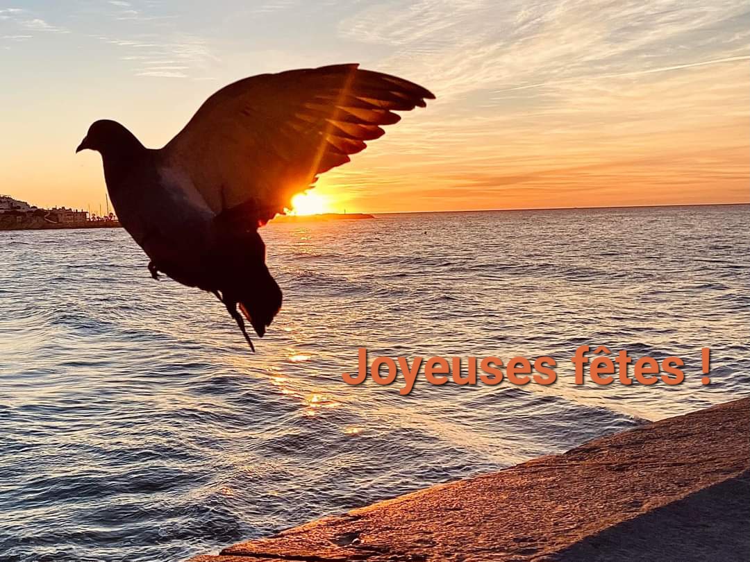 Toute l'équipe de Brillante mag et de l'association Brillante vous souhaite de joyeuses fêtes et un bel envol vers 2024 🕊

📸 @jdp_travel