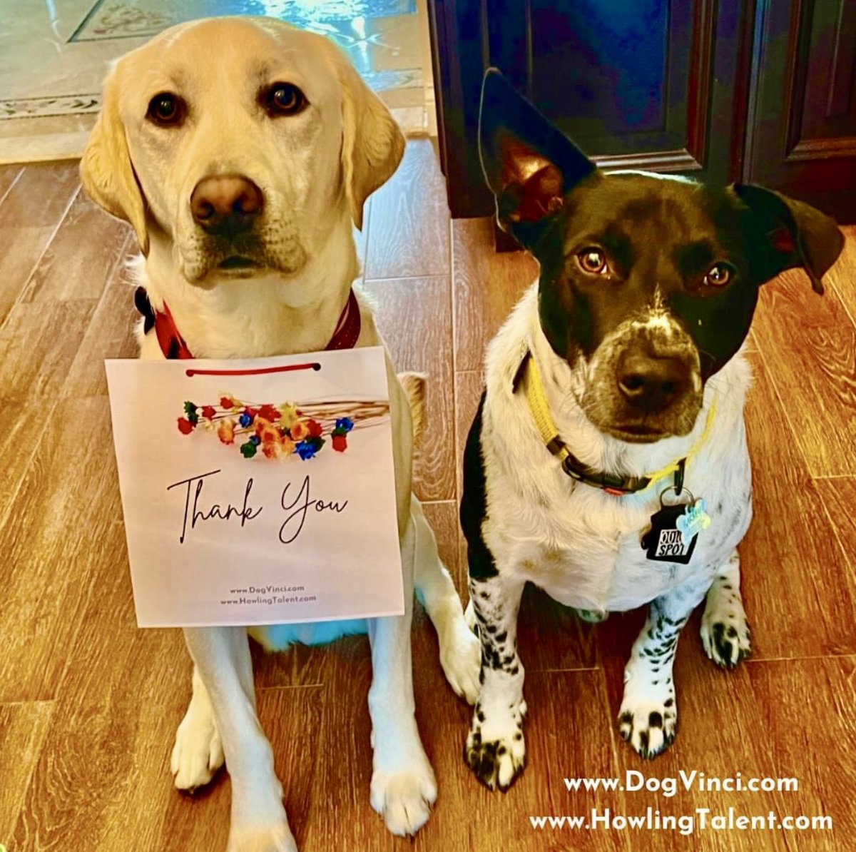 yayatomdagger3's tweet image. “Happy #ThankYouNote Day! We just had a meeting and felt that today is a great time then ever to say... thanks for your continued support. Thanks 4 always giving us encouragement &amp;amp; Thanks for all you do &amp;amp; have done for us. We appreciate it more then you know! xoBarney &amp;amp; Picasso&quot;
