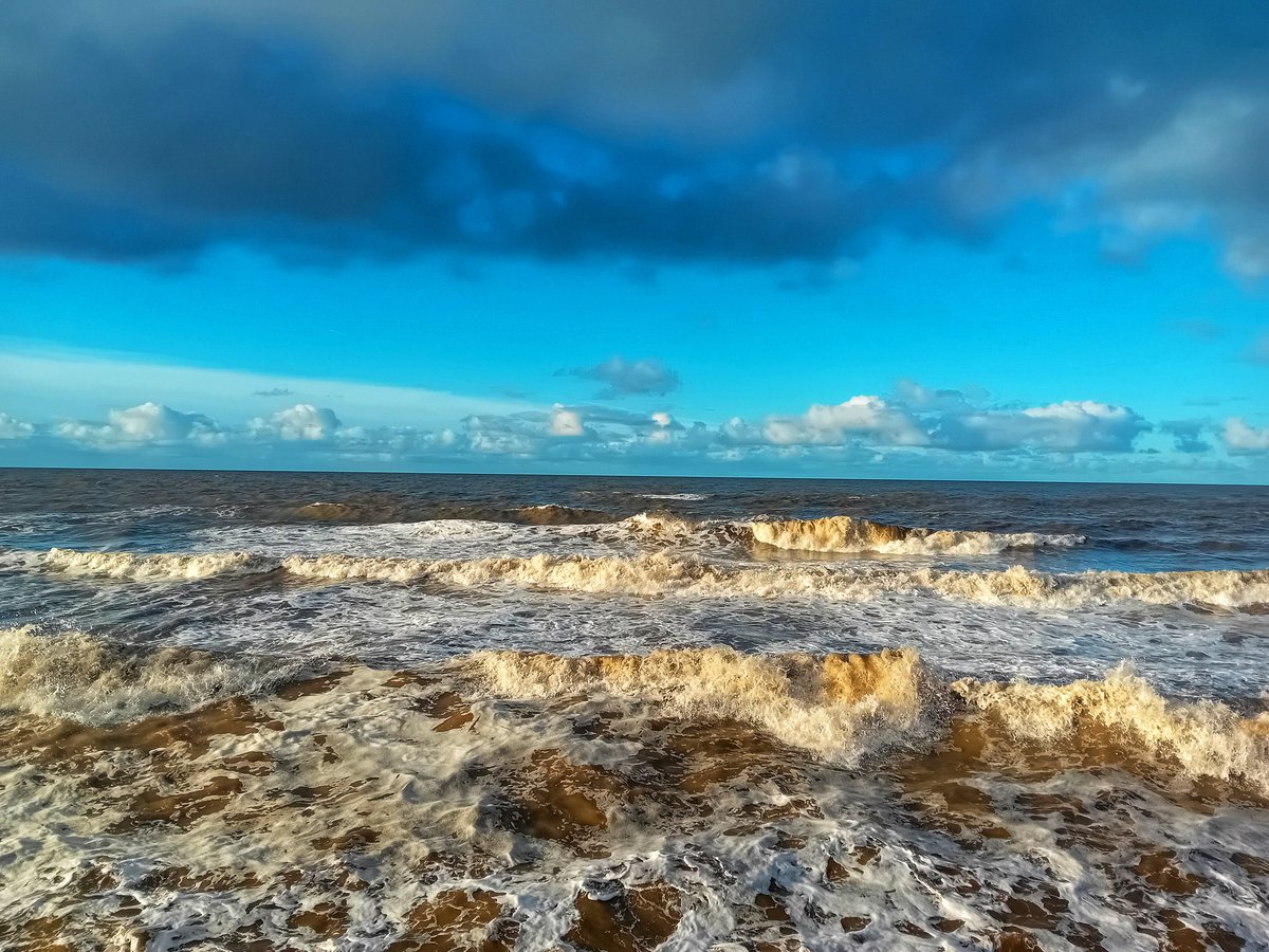 Catherine tweet media