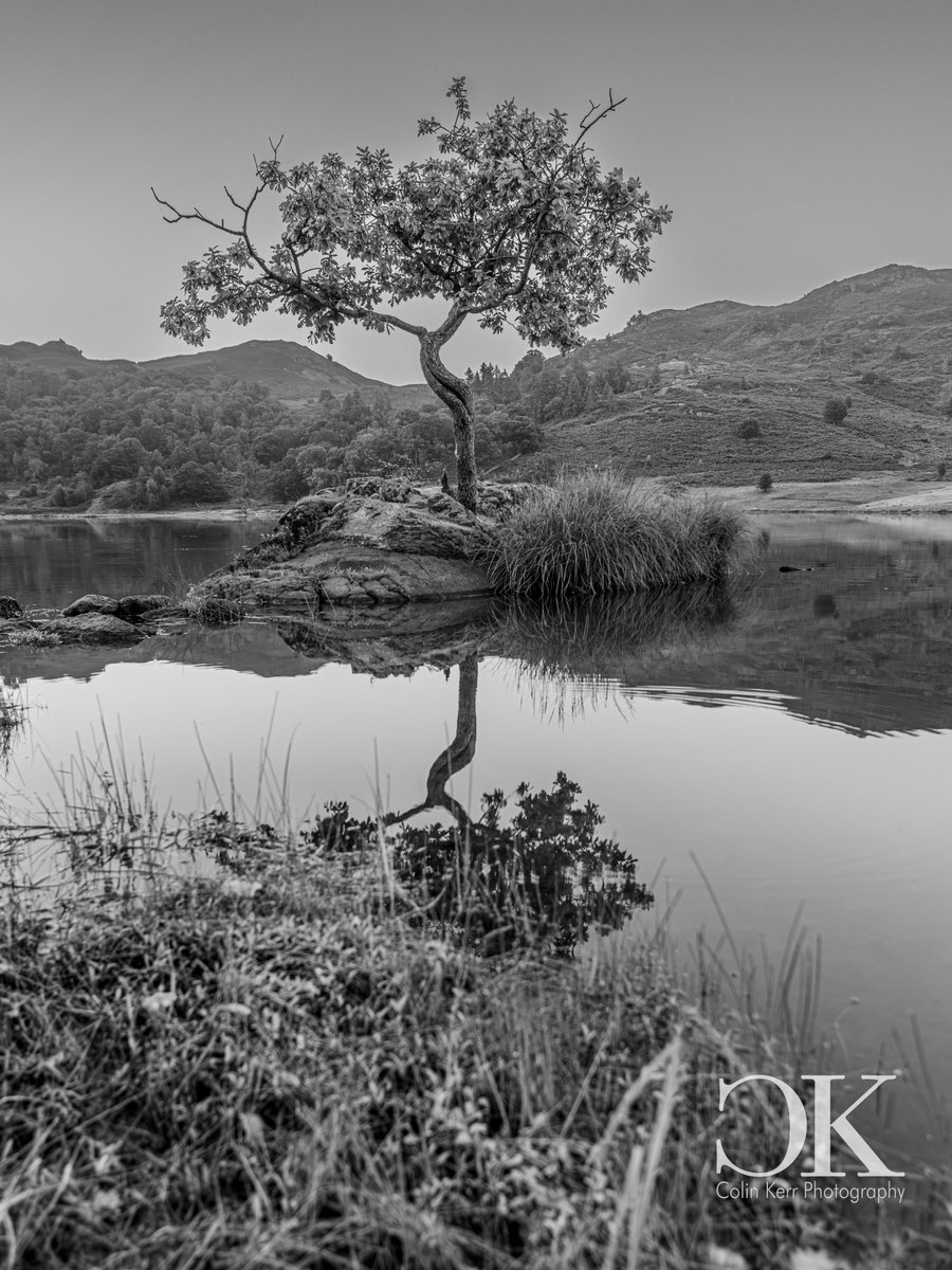 Another seletion of this years favourites

@thephotohour
@CanonUKandIE
@PIXAPRO_UK

#LTT #bird #LakeDistrict  #Rydal #Model #Wern #blackandwhite #bnwphotography #birdphotography