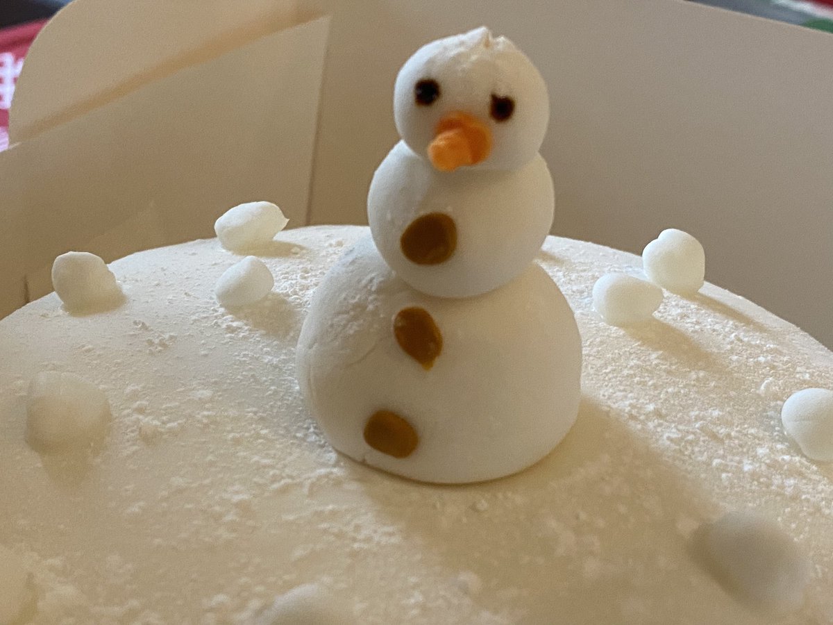 Amazing 4 layer vegan cake made by my wonderful 13yr old nephew - vanilla &amp; coffee layers with coffee buttercream - tasted delicious- so proud of him 💕 #ProudAunty #VeganChristmas #vegan #veganbaking