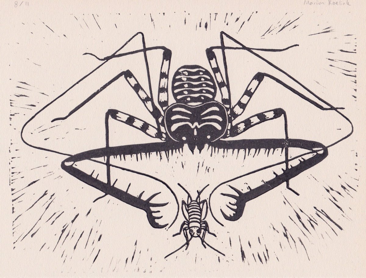 My first lino cut since I went to school.. a Damon diadema about to catch a cricket 🦗