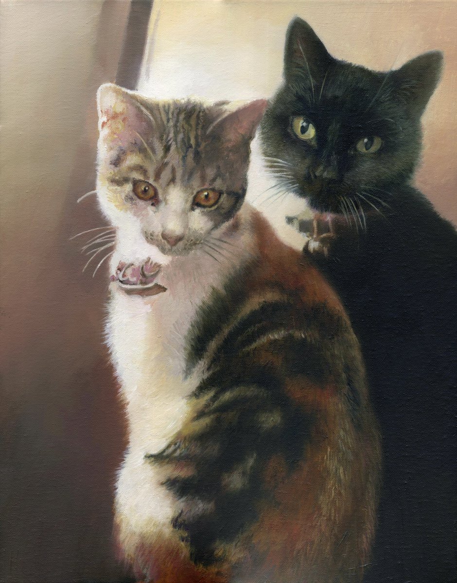 Really enjoyed painting this. ‘Fifi and Maisie’ commissioned oil painting on 40 x 50 cm stretched canvas. #art #oilpainting #oiloncanvas #oilpainter #portrait #portraitpainting #portraitpainter #cat #cats #petportrait #petportraits #petportraitartist