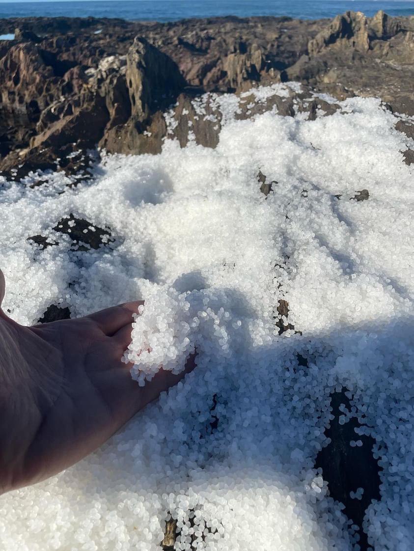 ⚠️💥Vertido de pellets en Galicia💥⚠️ Desde la asociación Noia Limpa nos avisan de que están encontrando sacos llenos de pellets y pellets que ya se han dispersado en las rías baixas. Si los veis en alguna playa, avisad al ayuntamiento y a costas🙏🏽