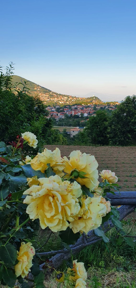 CHICHITO CHACO tweet media