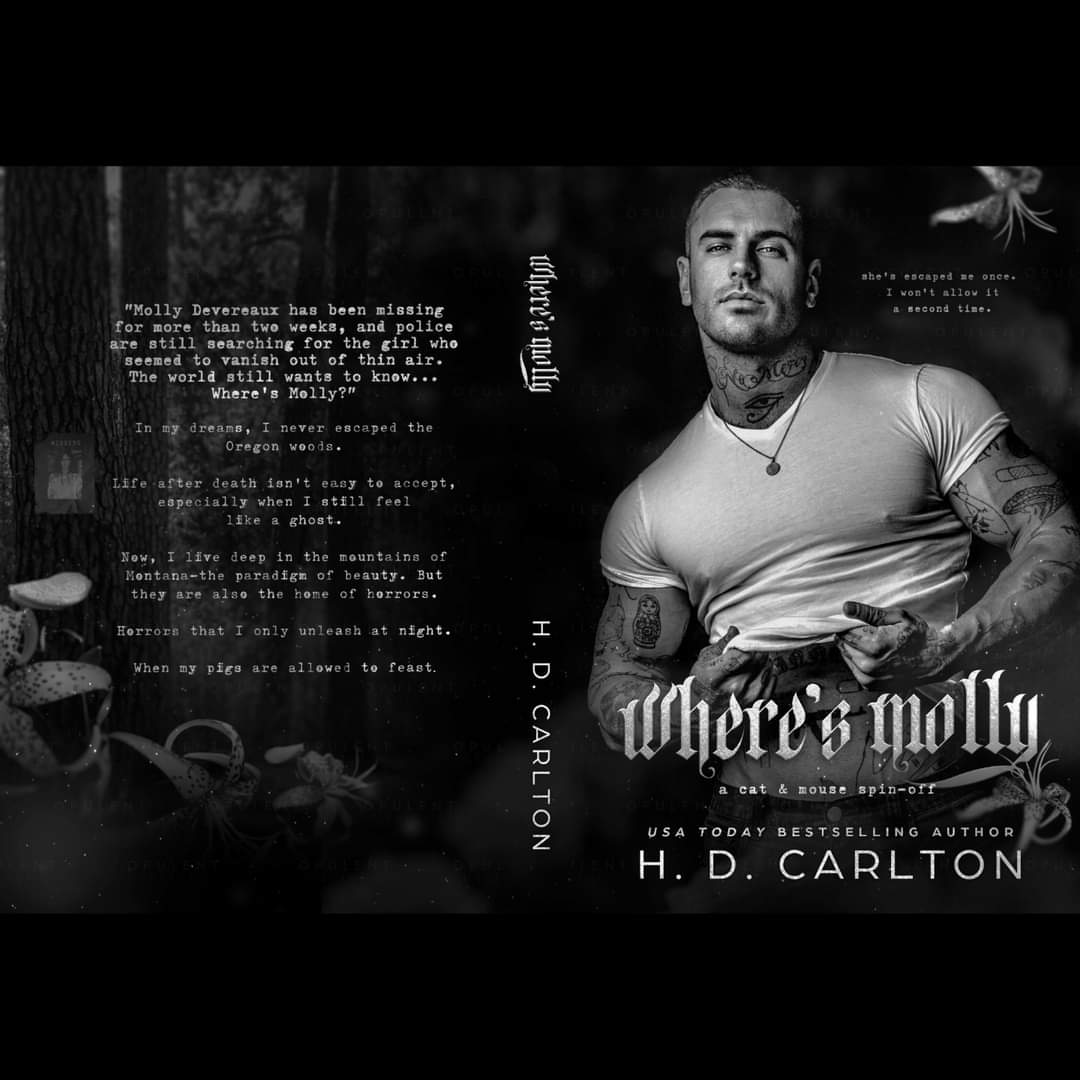 How am I supposed to decide?? I'm obsessed with the discreet, especially the back but the guy on the front of the other ... 

I think im going to have to have both. Both is good. 
#BookTwitter #Romance #hdcarlton #coverreveal #secretproject