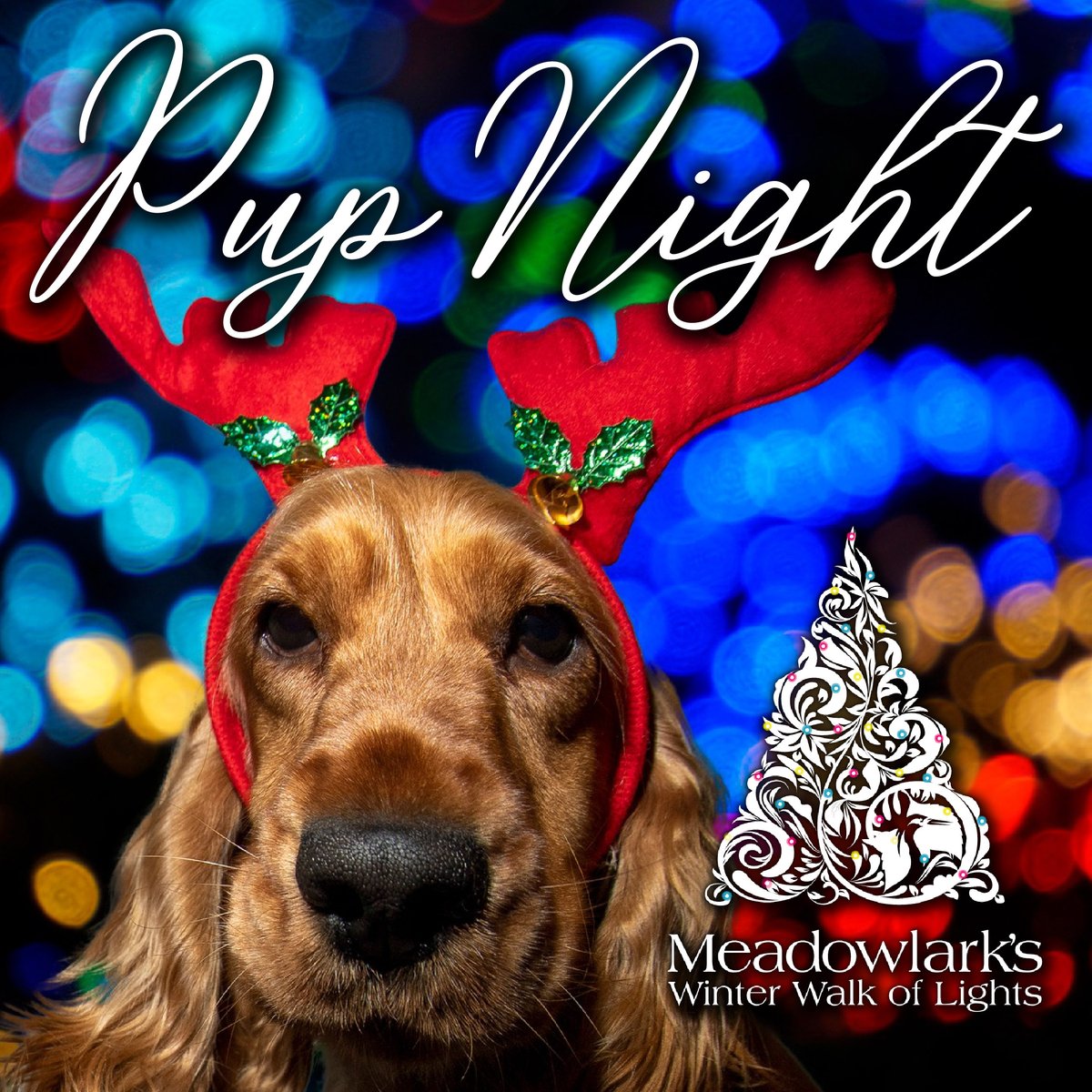 If you didn't get a chance to take your Fur Baby to experience a magical stroll through Meadowlark's Winter Walk of Lights, you're in luck! January 2, 5 and 7 will be the last Pup Nights of the season. 

Tickets: ow.ly/FyPH50QkPK5