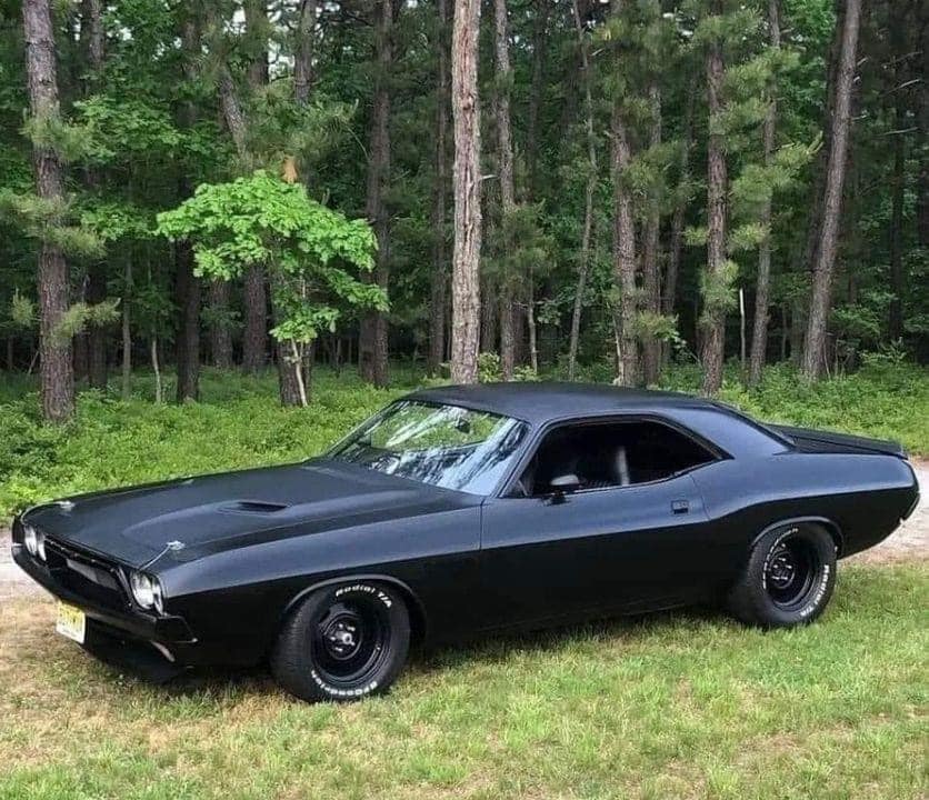 1973 Dodge Challenger 
#dodge #charger #DodgeCharger #instacars #cars #carsofinstagram #carswithoutlimits #Carstagram #uscars #americancars #musclecar #musclecars #uscar #moparnation #americancar #oldtimer #classicmuscle #vehicles #vehicle #oldcars #oldschoolcars #hotrodshow