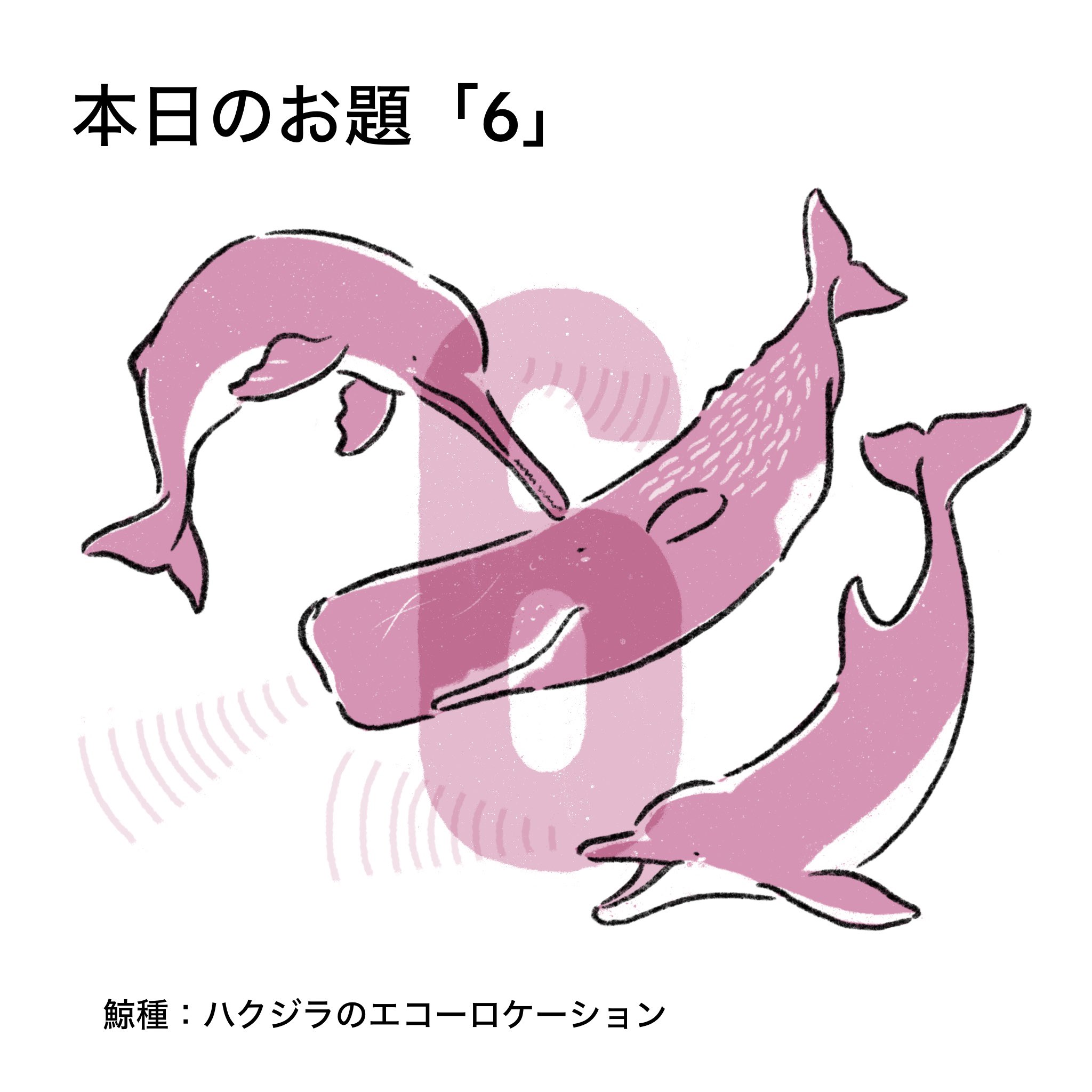 あらたひとむ🐋クジラ・イルカの雑学図鑑📖 (@aratahitom) / X