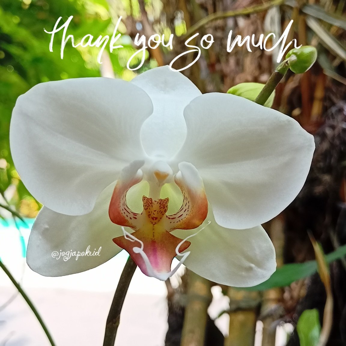 #F4F_Nusantara
#AajziGain
#TMAAJZI

thank you so much
⏩➽ <a href="/sufi166/">🌷SUFI🌷#AajziGain🌷</a>

<a href="/fg2g3/">الزعيم أبو أحمد 💙🤍</a>
<a href="/khalidaajzi/">🌿khalidaajzi🌿#AajziGain🌿</a>
<a href="/jogjapokeid/">jogjapokeid</a>
<a href="/W_03_Wc/">شذى 👀</a>
<a href="/w3ewe/">🇮🇩 Debora Noviawati 🌹</a>
<a href="/w1nker/">Winzzz02</a>
<a href="/666_alhlwan/">🇸🇦🌴🆇𓃵💛MBS #Saleh666 MBS 🖤𓃵🌴🆇 🇸🇦</a>
 <a href="/hfc8h/">⭐🥈🏆#حاشرهم_العالمي70🏆🥈⭐</a>
<a href="/khalidaajzi/">🌿khalidaajzi🌿#AajziGain🌿</a>
@ShadowF4F
@WaeSan158607
<a href="/wage8422/">Wage😎</a>
<a href="/wainsapwf/">Mukhtar Wains</a>
<a href="/wandaazahra7/">wanda azahra</a>
<a href="/Wandakumala01/">Wanda Kumala</a>
<a href="/wanita_lampoeng/">Wanita Lampoe</a>
<a href="/WaoNFTs/">WaoNFTs</a>
<a href="/wartatambang/">WartaTambang.com</a>