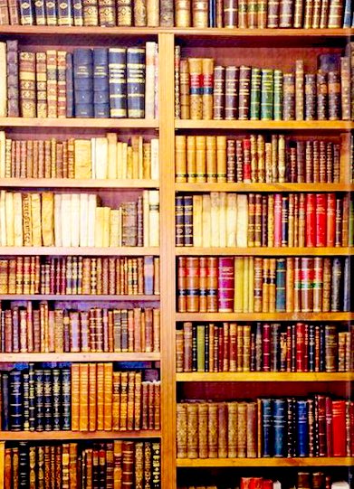 🎄Alors, quels livres vous ont été offerts pour ce Noël ?📚