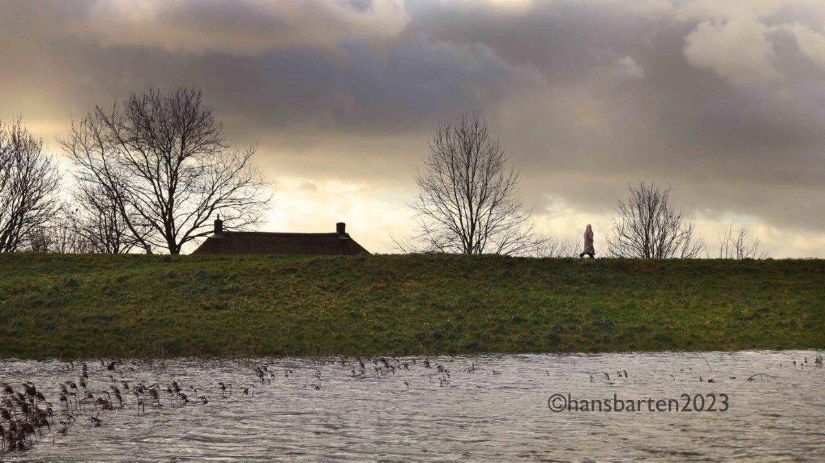 Hans Barten tweet media