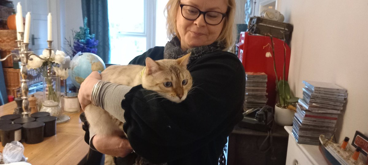 John-Christian Mitchell tweet media