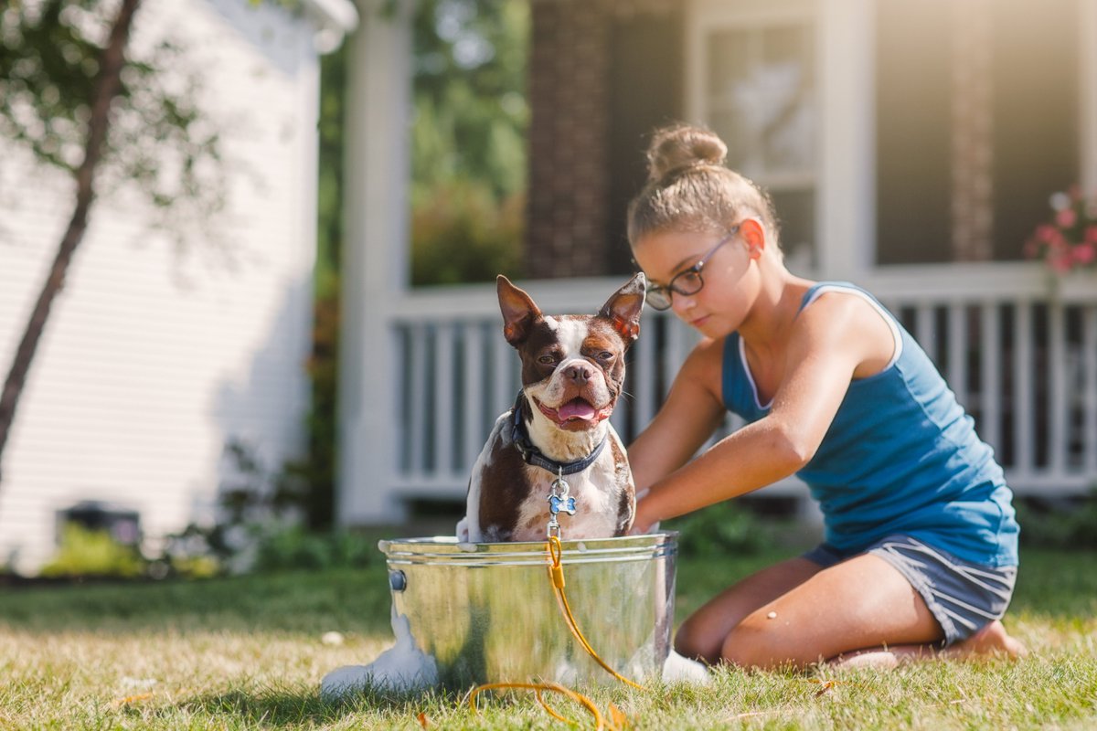Different way of bathing :-)
But summer is coming. Take your dog outside and get creative ;-)

#ilovedogs #dogmom #dogphotography