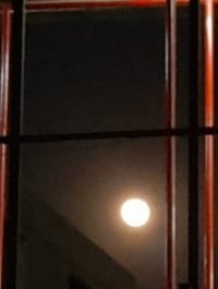 Poojasharma_DB's tweet photo. साल का आखिरी पूर्णिमा का चांद
#year_end #fullmoon https://t.co/syANIOwIOj