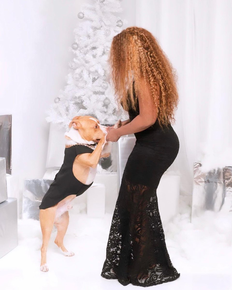 tweet_davis's tweet image. Happy Pawlidays from Duke and Mommy 🐾 🖤🫀
#dogphotography #pawlidays