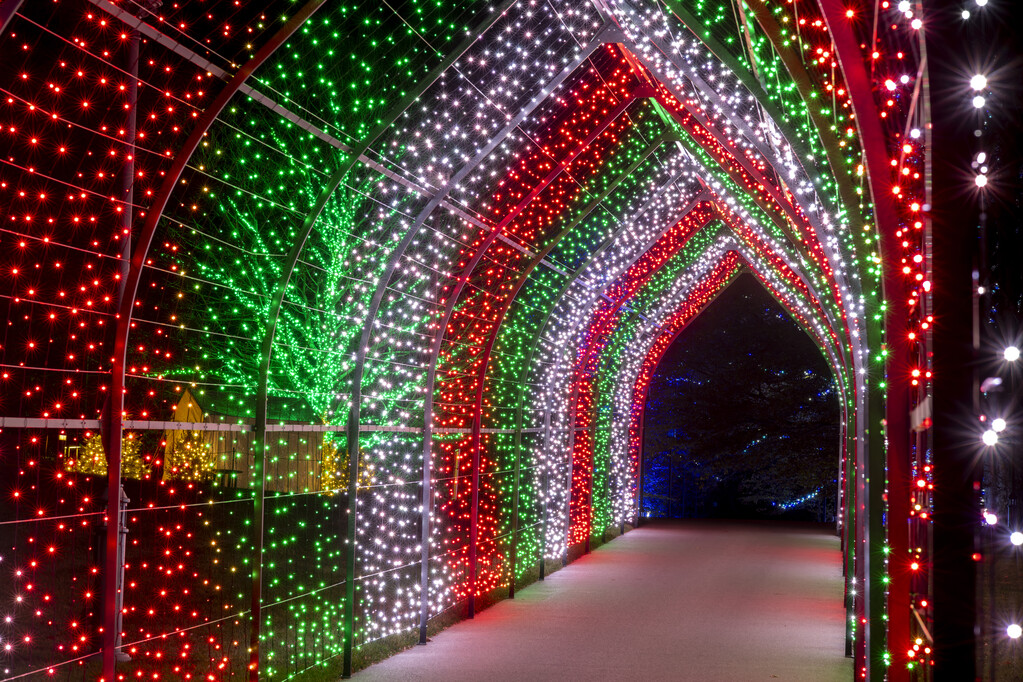 longwoodgardens's tweet photo. Only 364 days until next Christmas! It’s as merry and bright as ever around here. https://t.co/fAS4i49paJ