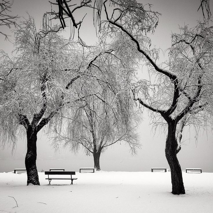 Pierre Pellegrini 📷 The silence of winter ...