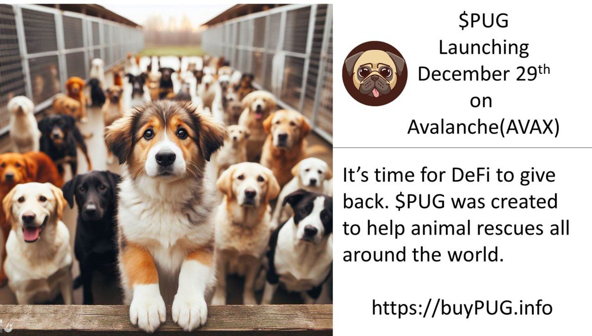 crypto_delulo's tweet photo. Pug Launch is set for this Friday! 🎉🐶 Let those wagging tails and cute snorts guide us to the stars! 🌟🐾 #NewYearsResolution #AVAXlaunch @PugFoundation https://t.co/X6g1QEWcng