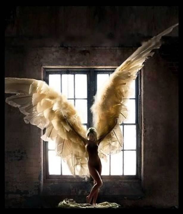 Ellebel_hw's tweet image. #SpreadYourWings🙌 #1453Top2000 #Queen