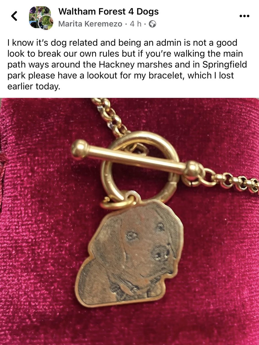 Dog bracelet lost at Hackney marsh, walthamstow marsh, Springfield park please RT
